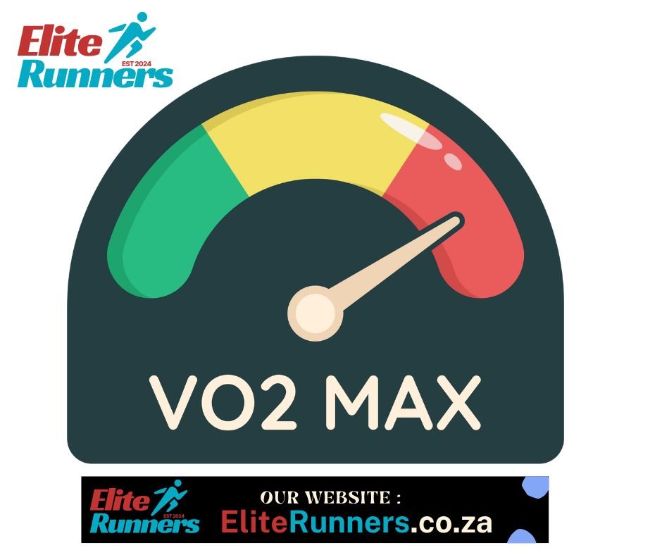 VO2 max by elite runners